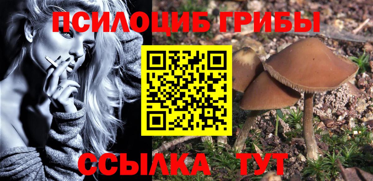 Псилоцибиновые грибы Psilocybe Изобильный