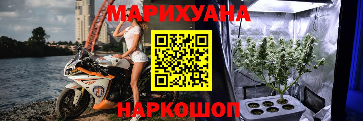 Бошки Шишки семена  Вход с VPN  МАРИХУАНА ГИДРОПОН  Изобильный 